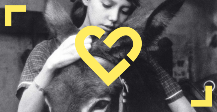 Coups de cœur – FACEBOOK (39)